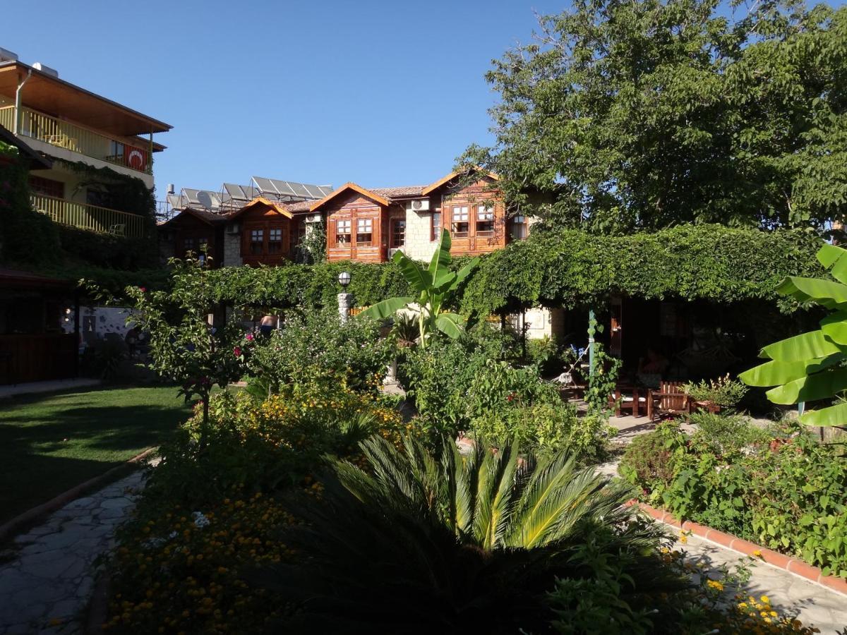 Lale Park 2*
